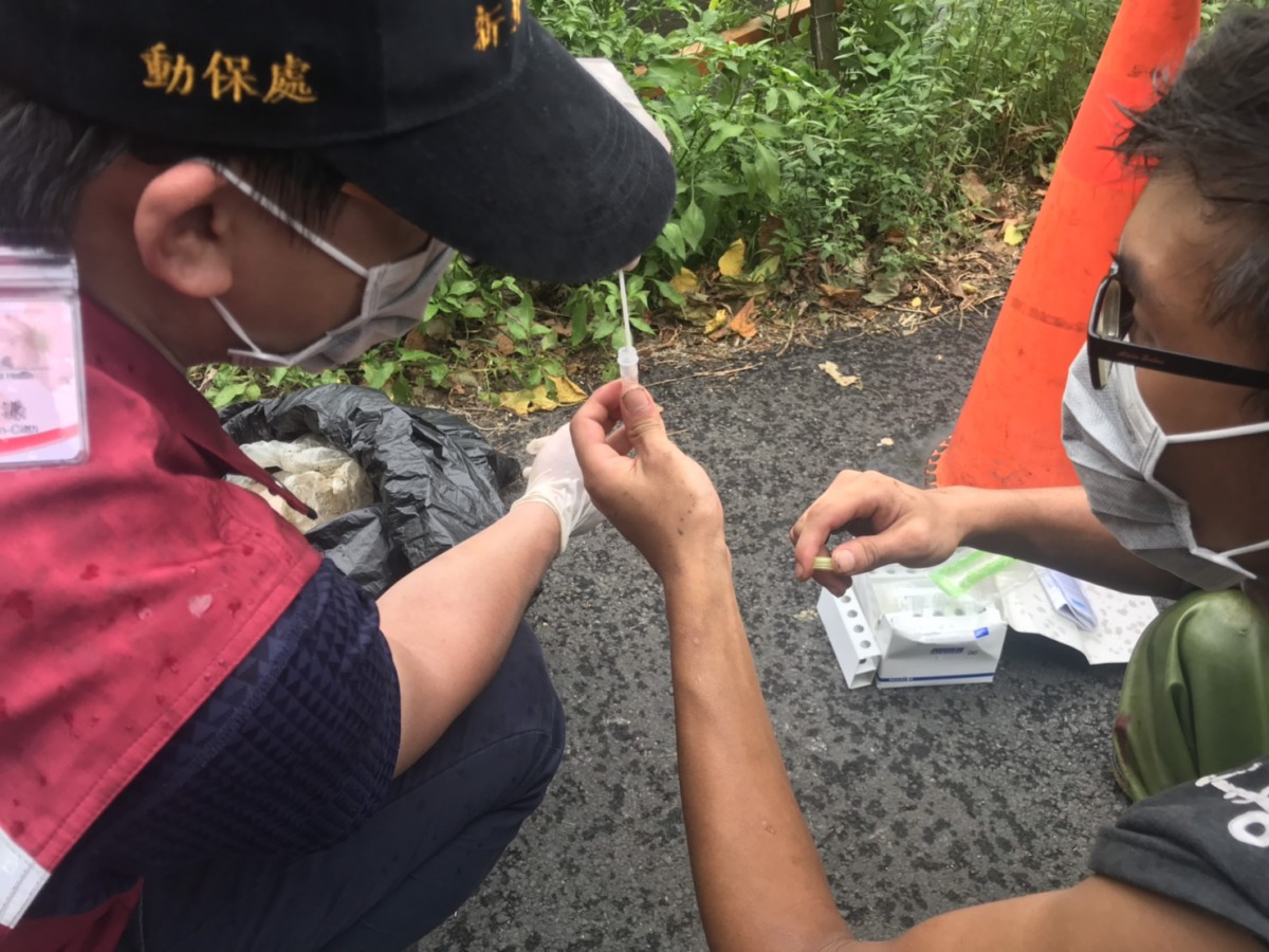 防疫人員進行禽流感快篩檢驗，所幸呈現陰性。 新北市動保處/提供