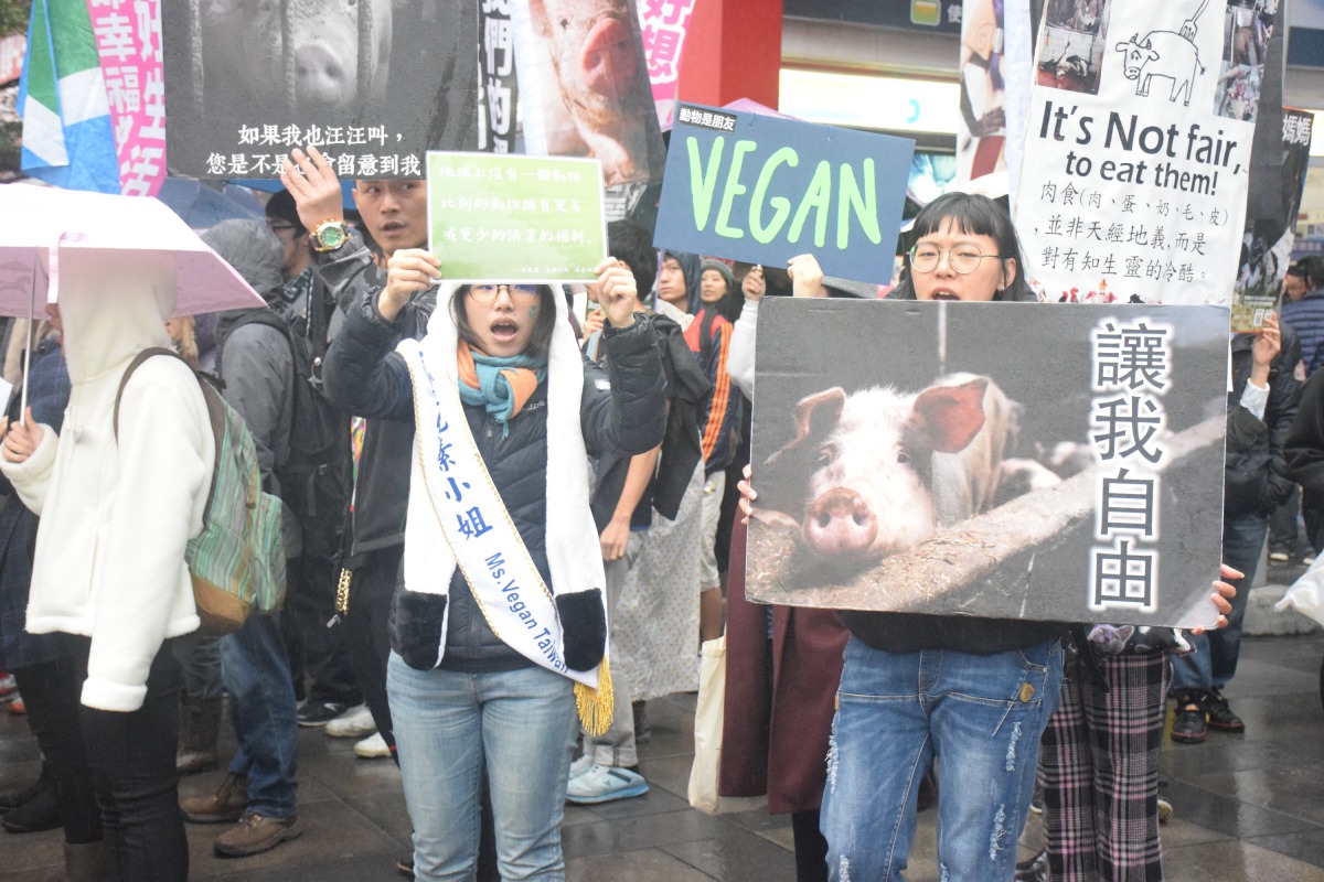 遊行民眾手拿各式標語看板為動物發聲。 姚崇仁/攝