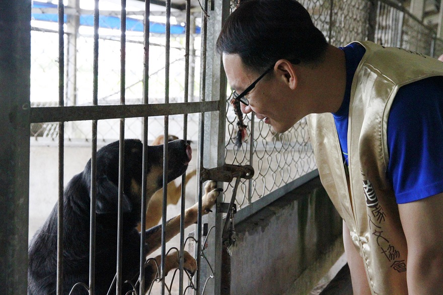 道家人文協會志工到林媽媽狗園幫忙照顧浪浪。道家人文協會/提供