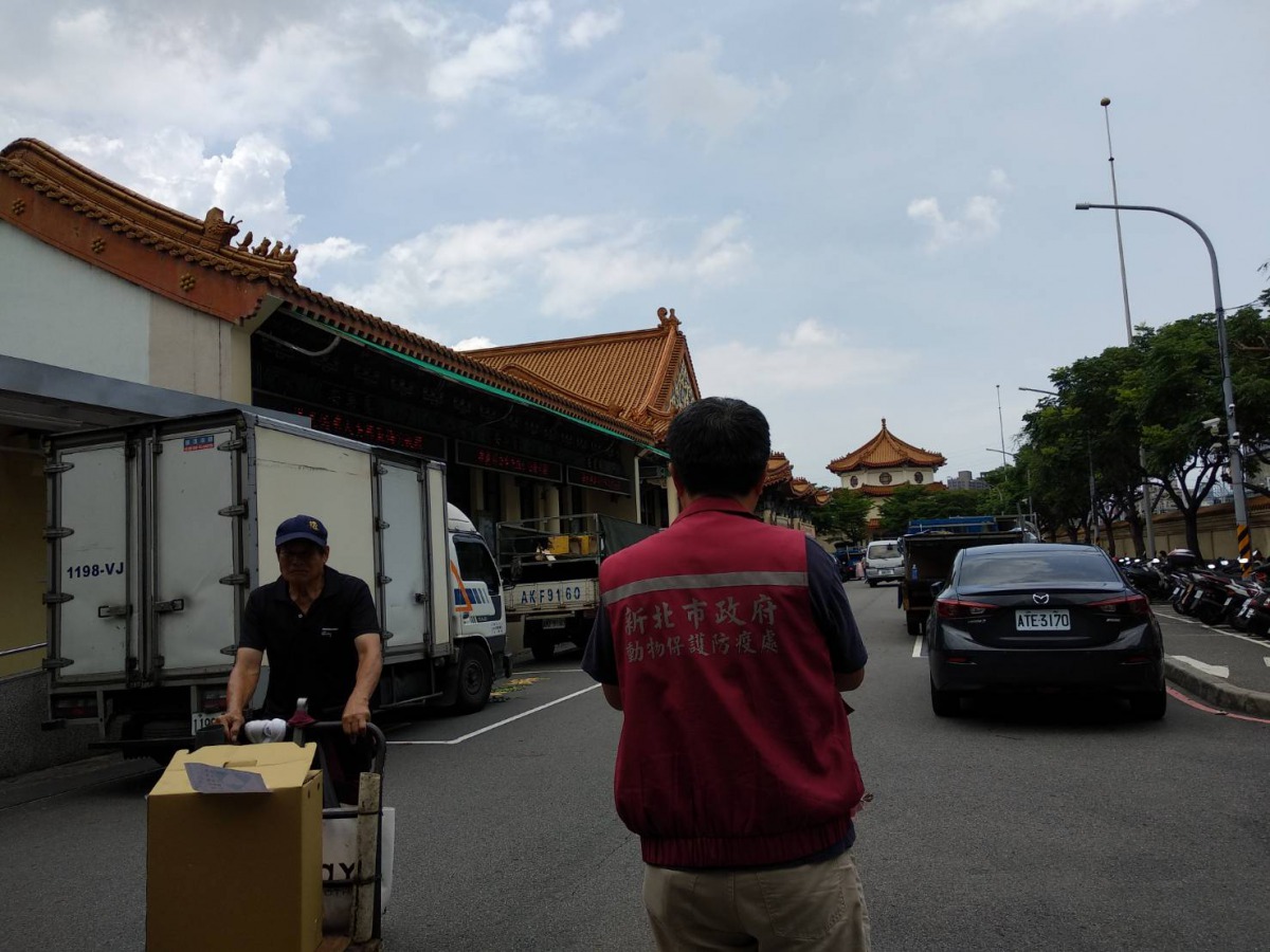 有鑑於板橋殯儀館常發生「開光雞」與「帶路鴨」在路上遊蕩,動保處也派員到殯儀館加強宣導。 新北市動保處/提供