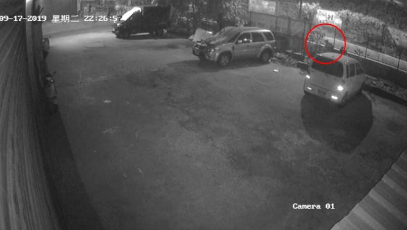 動保處調閱監視器畫面後，發現有不明人士疑似用槍枝射擊巫姓飼主愛犬。新北市動保處/提供