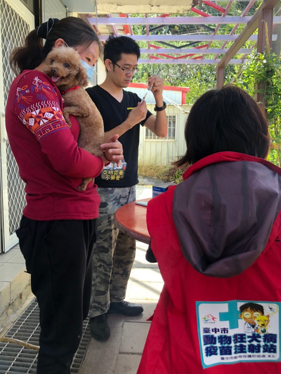 動保處獸醫師替民眾的愛犬施打狂犬病疫苗。 台中市動保處/提供