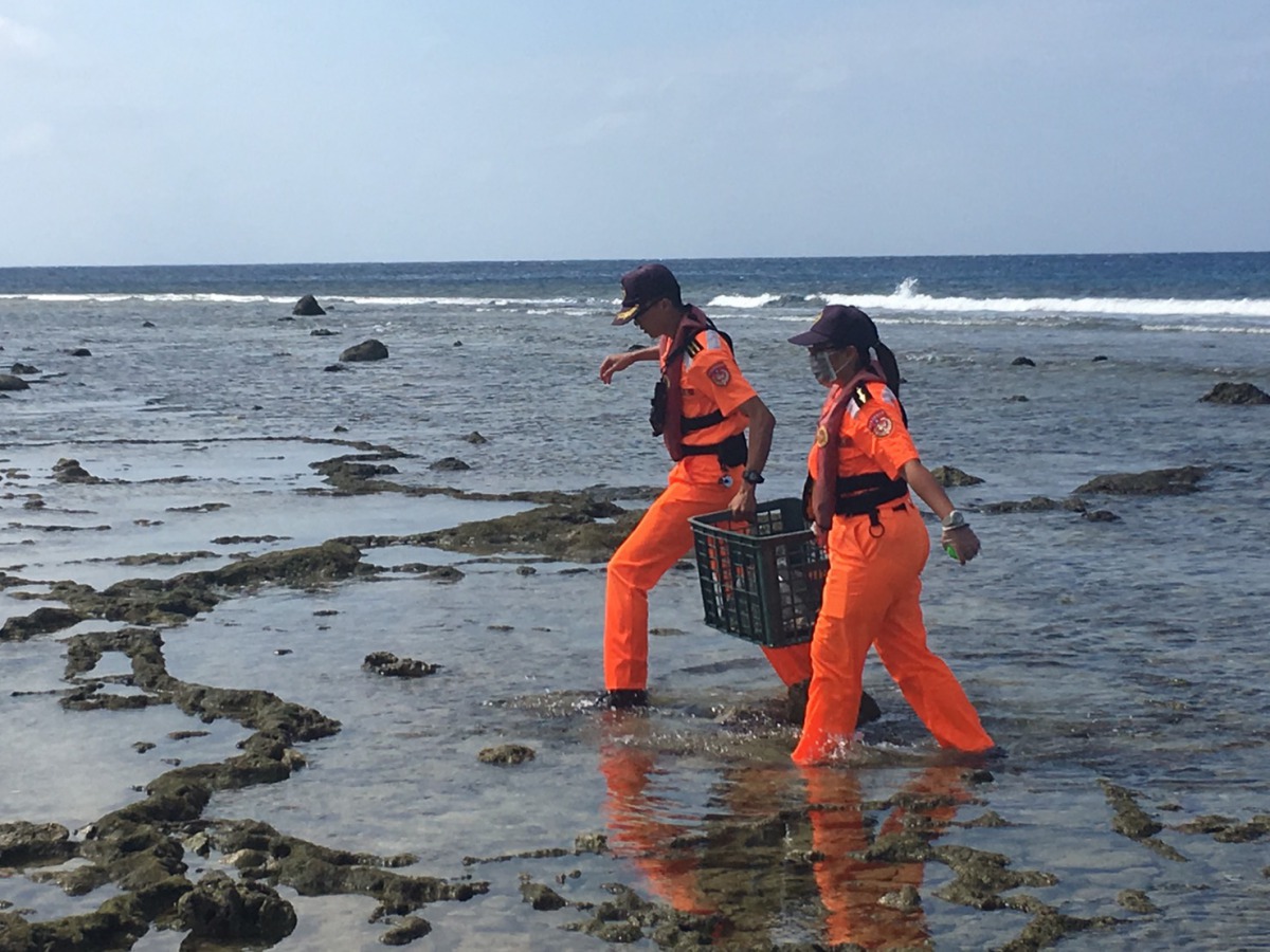海巡人員將落難的欖蠵龜帶回台灣本島安置。第十三岸巡隊/提供