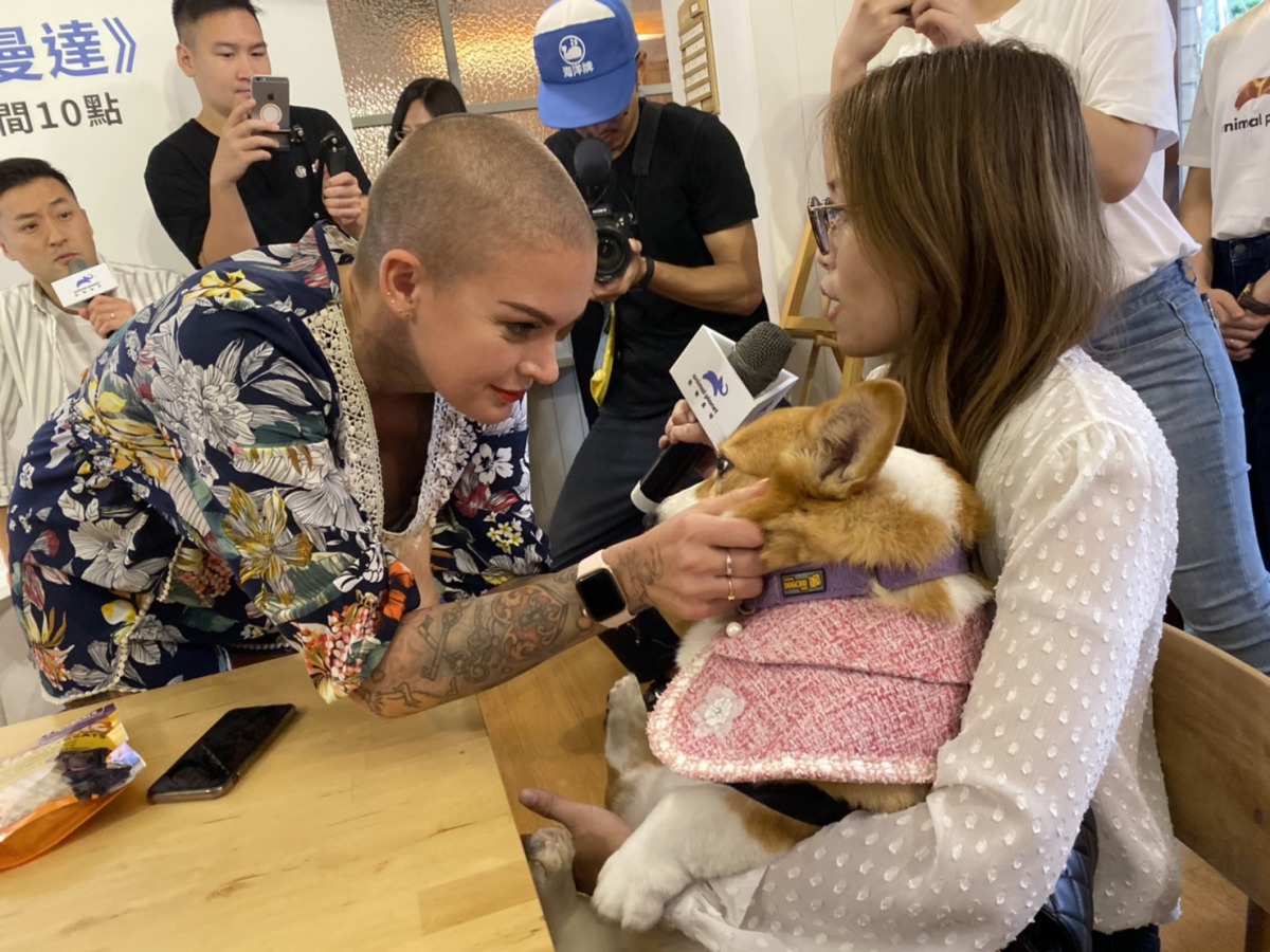 動物救星亞曼達在聽到「Coco」的故事後,相當心疼並上前摸一摸「Coco」。 姚崇仁/攝