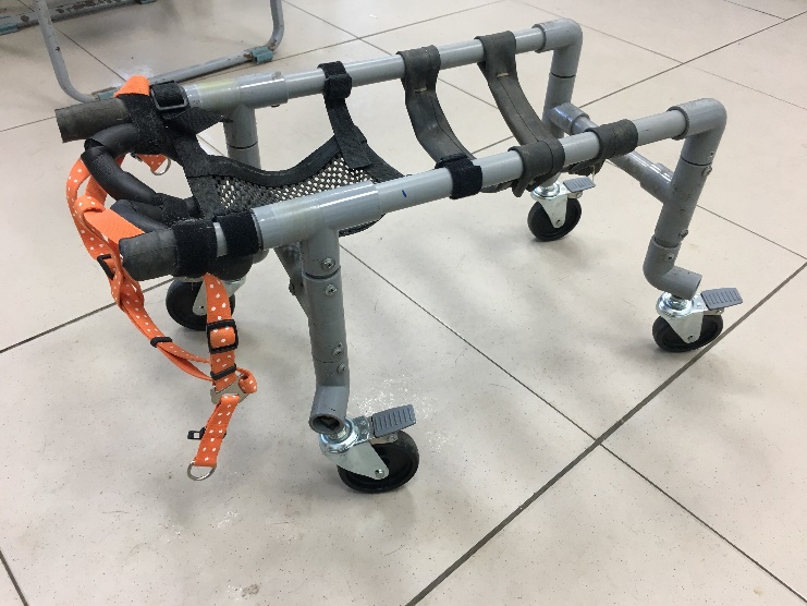 八里動物之家獸醫師與動保員一起打造的狗輪椅。 新北市動保處/提供