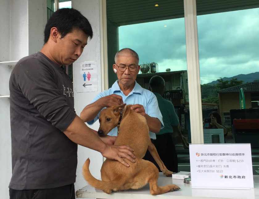 黃先生帶著「阿黃」前來錫棟醫療站給獸醫師打疫苗。 新北市動保處/提供
