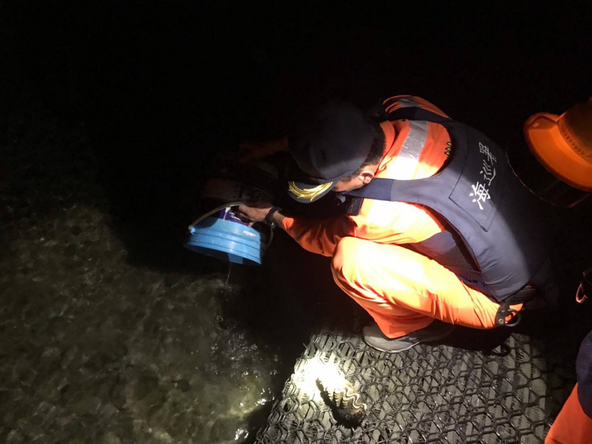 違法採捕的漁獲都已放回保育區內。第十三岸巡隊/提供