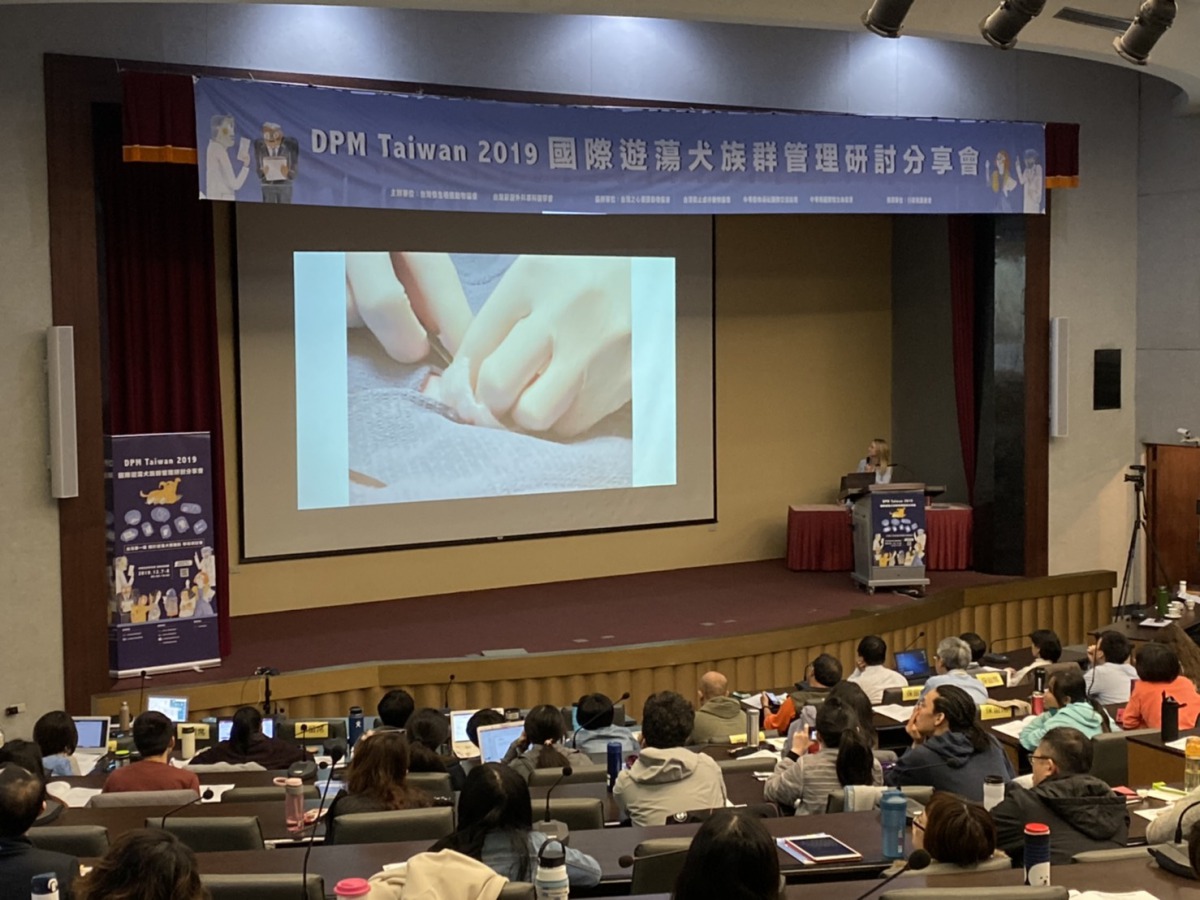   Katherine Polak教如何快速地完成貓咪的絕育手術。  姚崇仁/攝