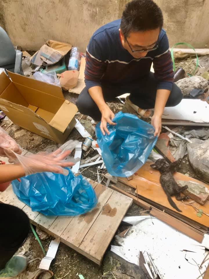 新竹動保所所長前來將貓咪帶回解剖。 邵柏虎/提供