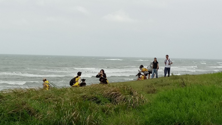 由於淡水動物之家靠近海邊，志工們可以帶著這裡的狗狗們到海邊散步。 新北市動保處/提供