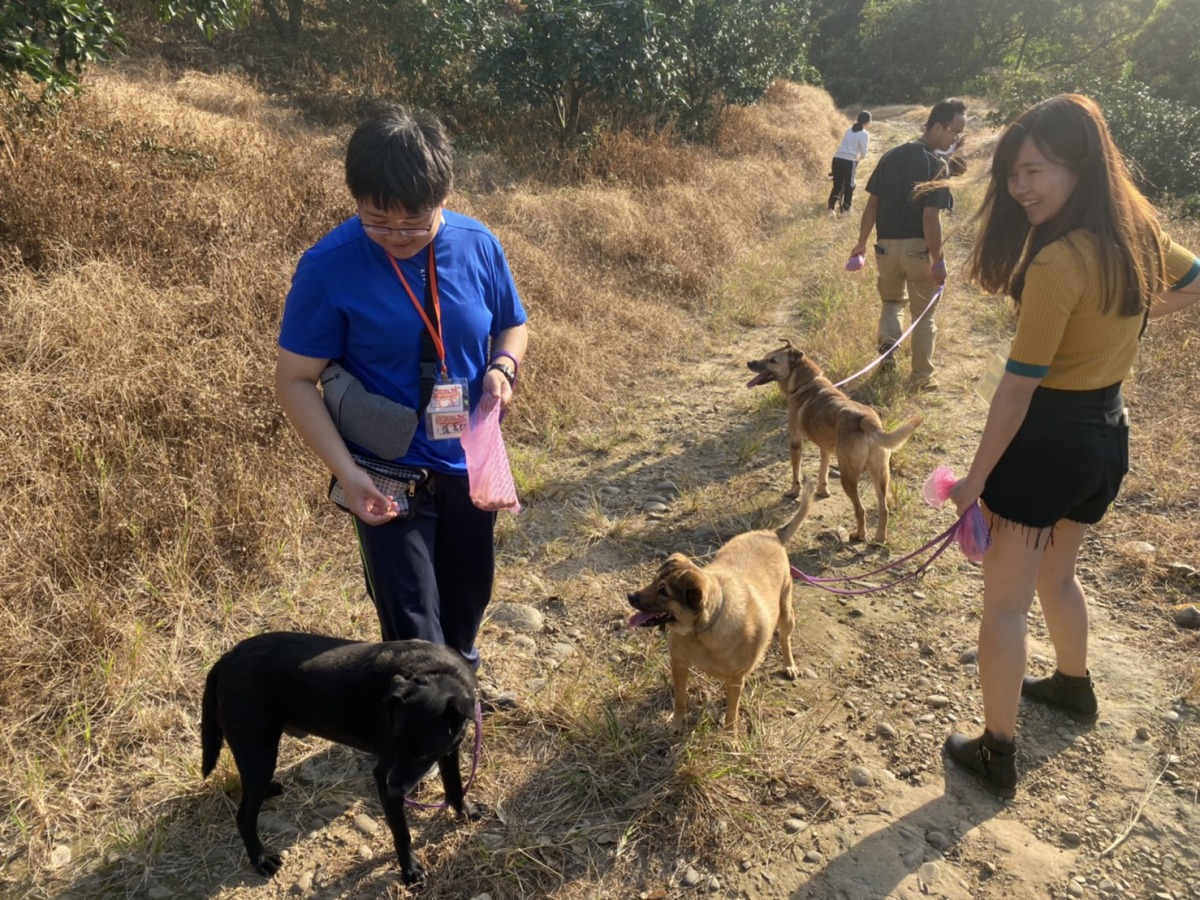 民眾可以趁著假期來到八里保育場遛狗。 姚崇仁/攝