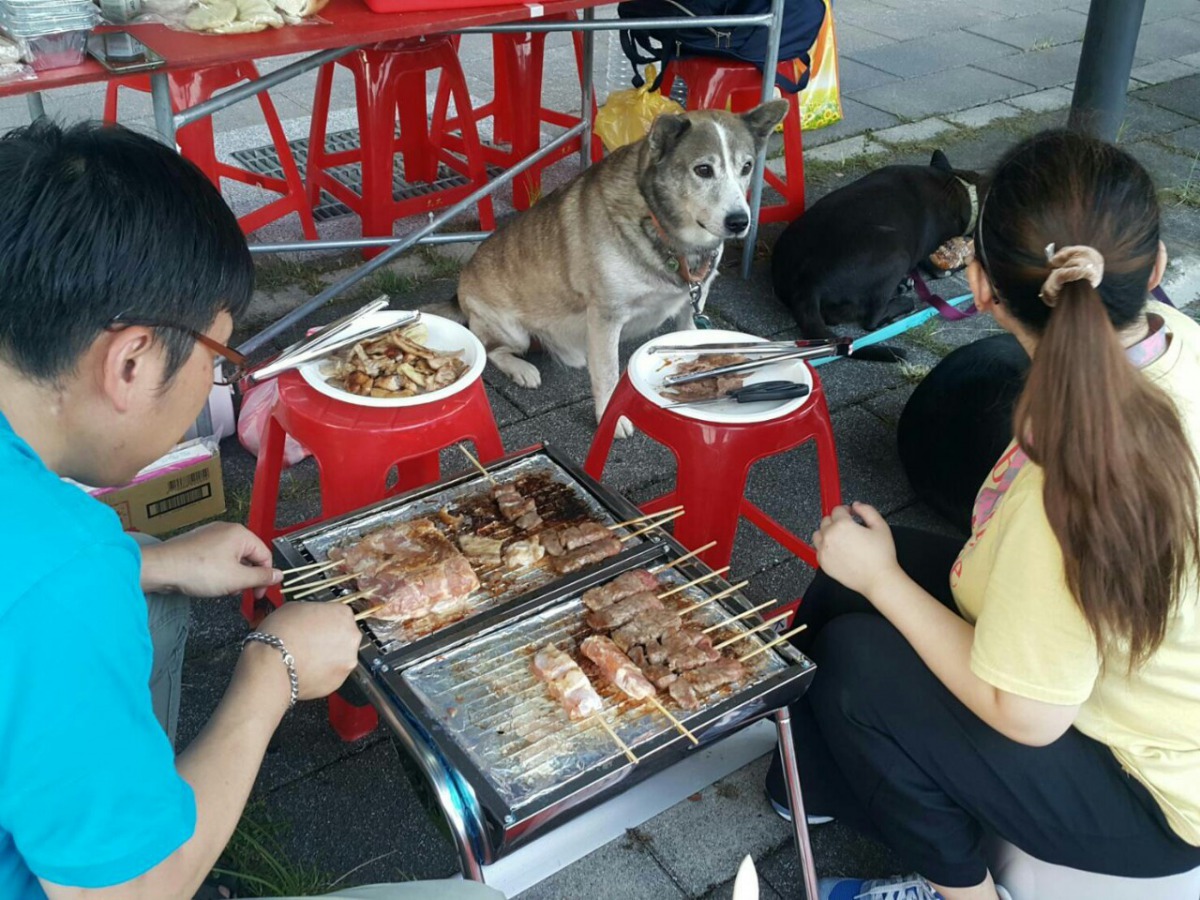 六福參加社區中秋烤肉活動。 新北市動保處/提供