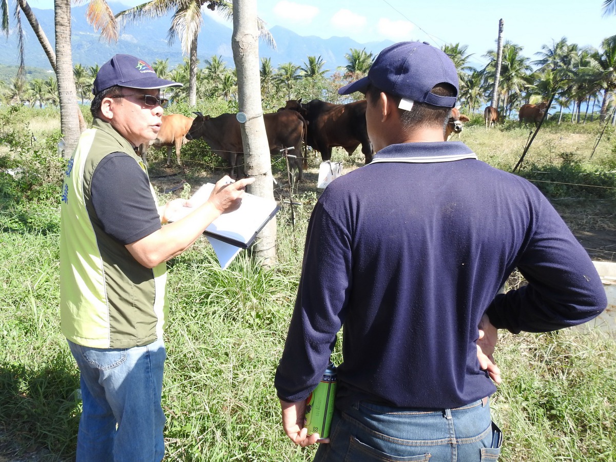 農業處將會不定時突襲檢查各個養牛戶。 台東縣政府/提供