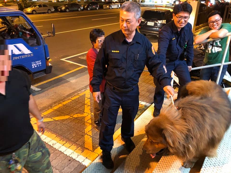 個性溫馴的獒犬很快地就討到派出所員警的芳心。鳳山警分局文山派出所/提供