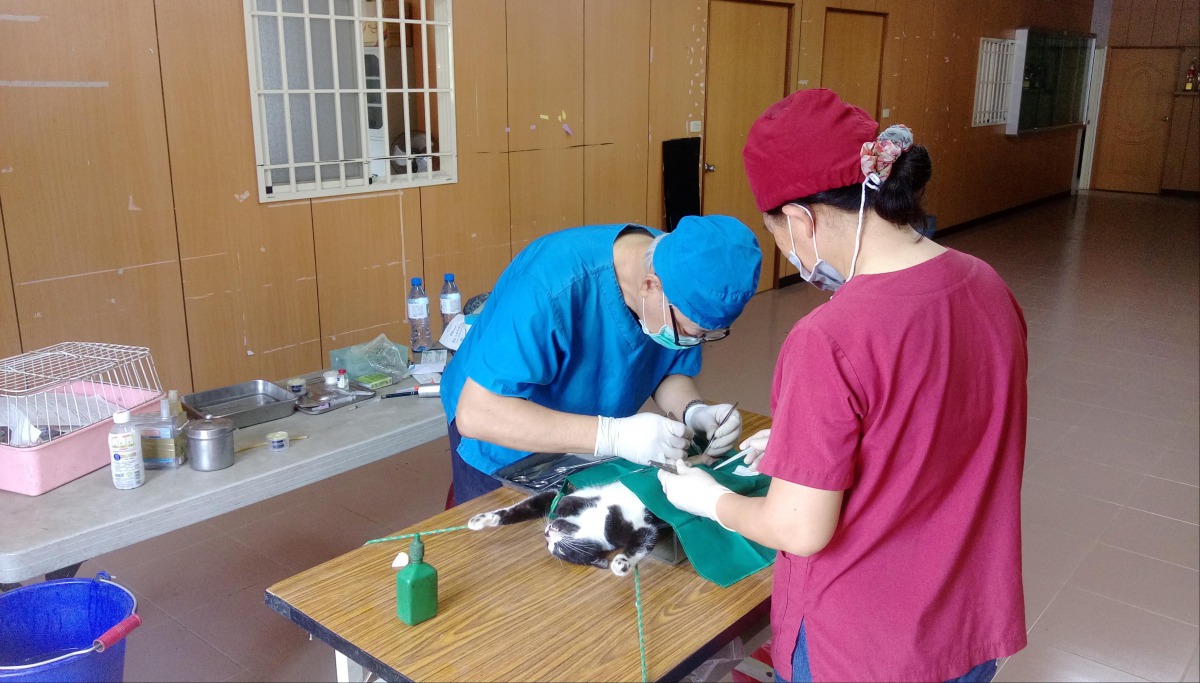 動保處獸醫師前進高雄原鄉地區替犬貓進行絕育手術。 高雄市動保處/提供