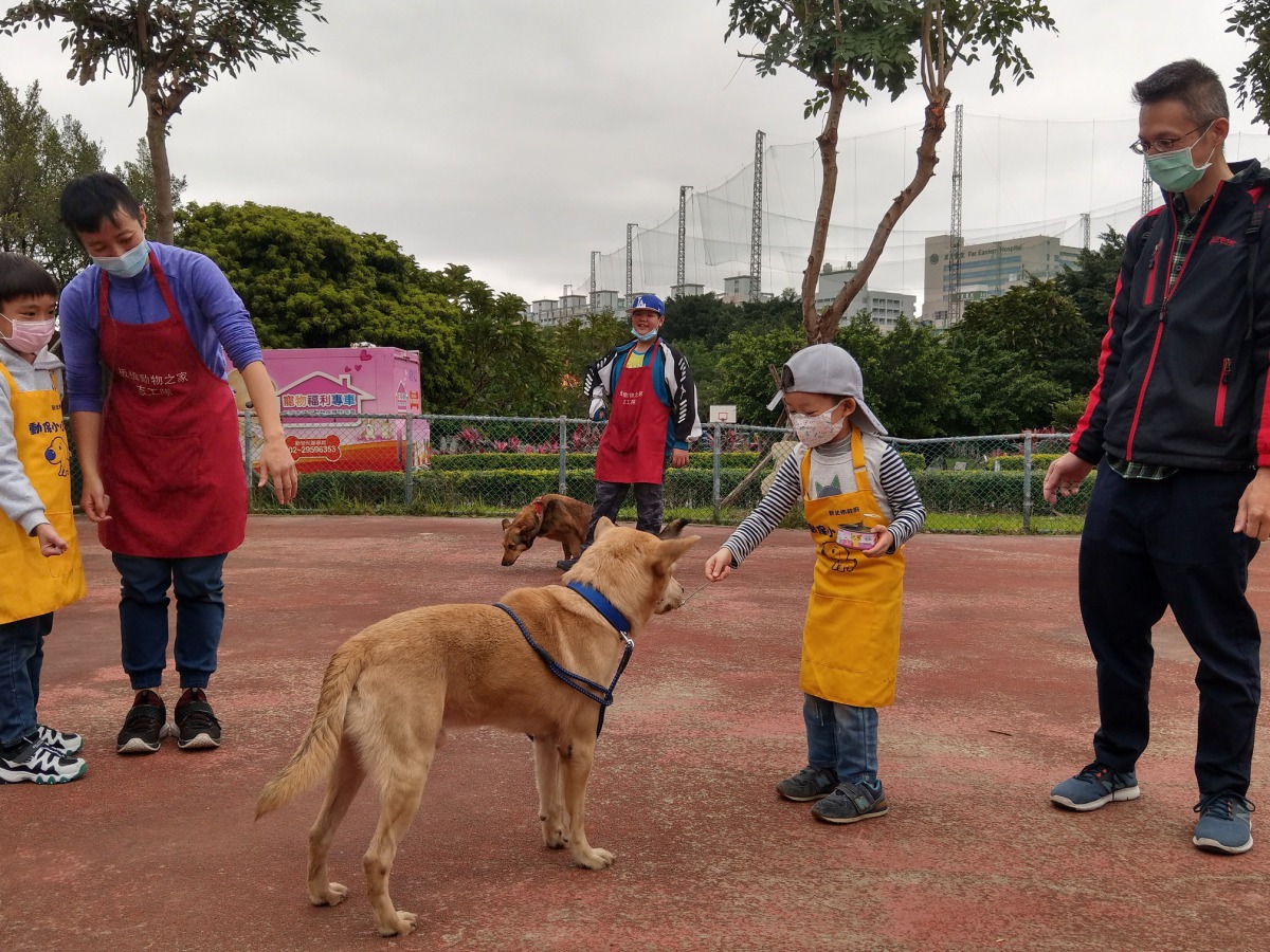 動保小小兵活動,小朋友與收容所的狗狗近距離互動。 新北市動保處/提供