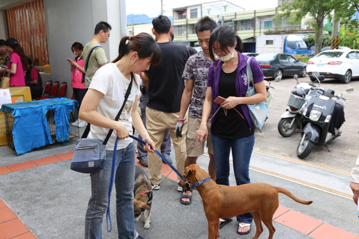 飼主帶著米克斯參加免費絕育活動。 嘉義縣政府/提供