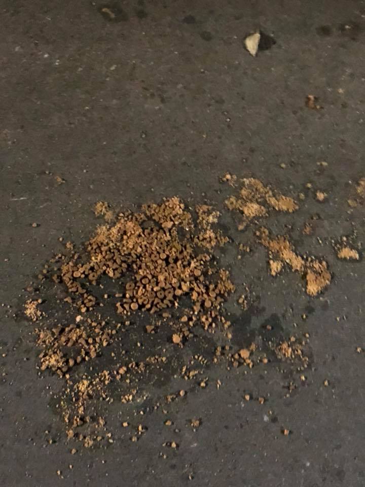 直接灑在地上的飼料造成環境髒亂。 王小姐/提供