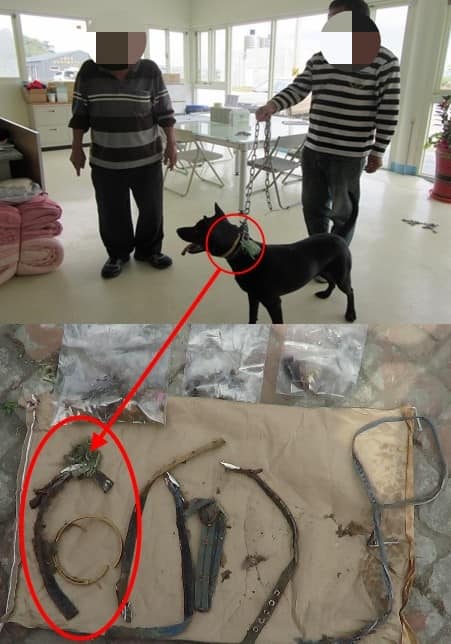 邱姓叔姪領養時所用的項圈(上)與空屋內(下)查獲到的項圈同一條。 通霄分局/提供