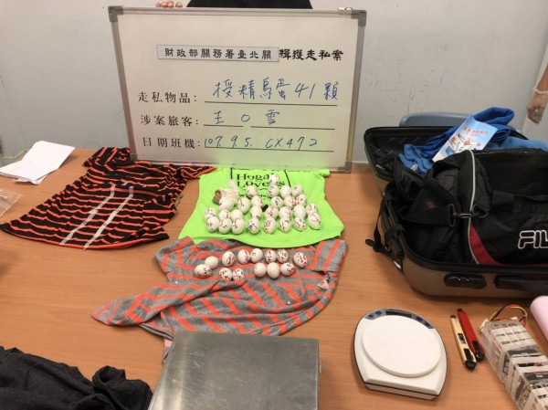 海關查扣41顆受精鳥蛋。 關務署台北關/提供