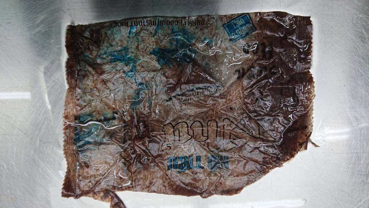 小抹香鯨胃中發現塑膠泡麵包裝。 中華鯨豚協會/提供