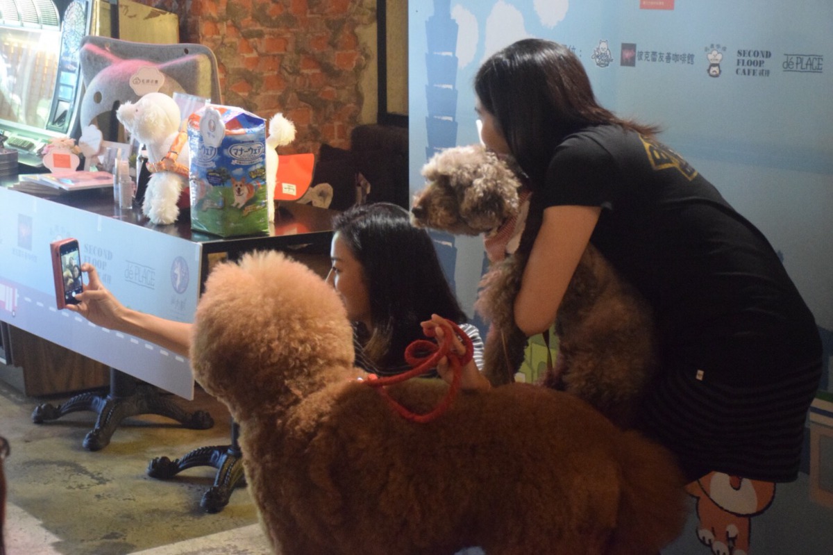 「古荳」、「阿牛」一起示範如何完成「秋日賓狗尋寶GO!」的活動任務。 姚崇仁/攝