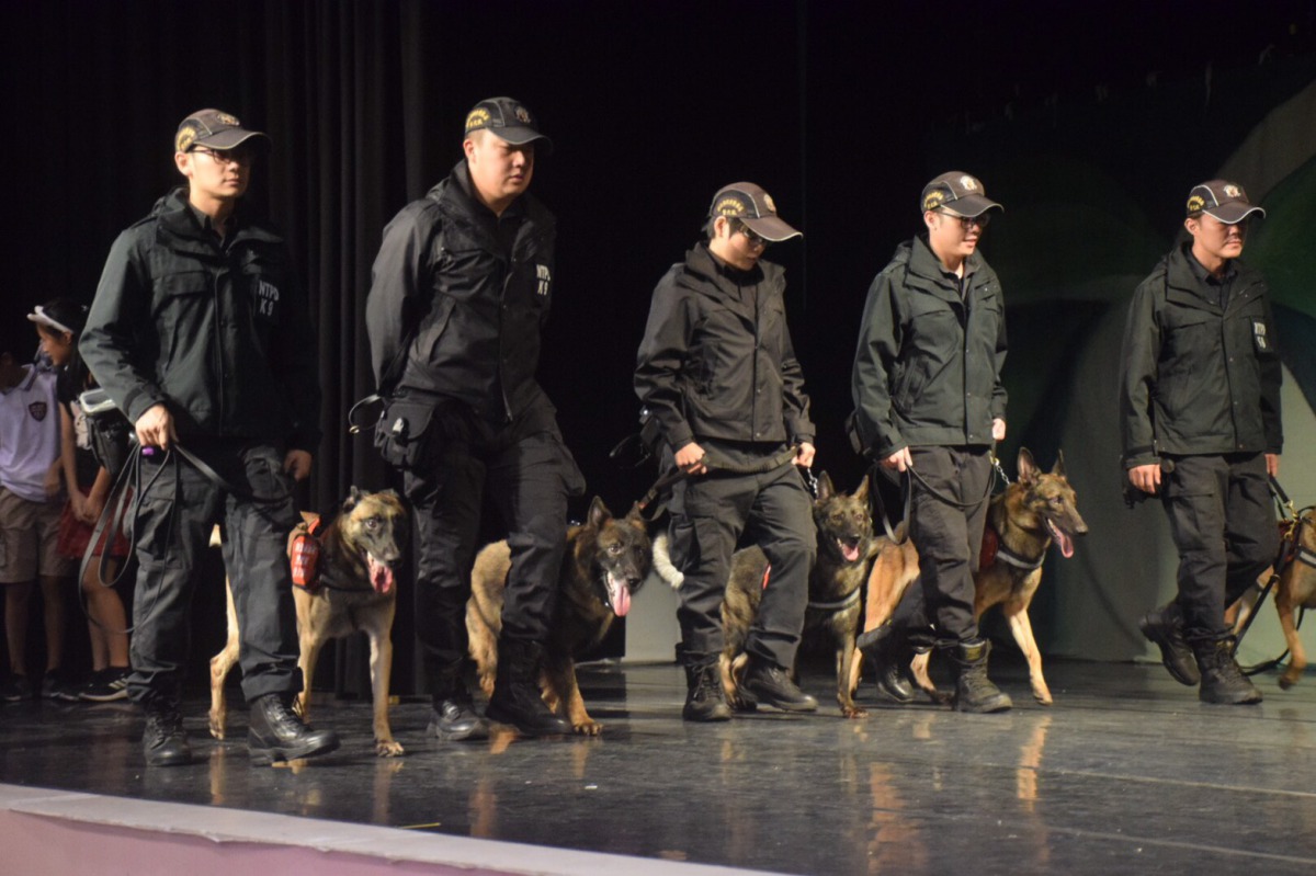 新北市警犬隊展現訓練有素的成果。 姚崇仁/攝