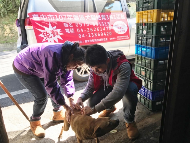 台中動保處組成獸醫團隊到偏鄉地區協助注射疫苗、絕育，以行動力響應世界動物日。 台中市動保處/提供