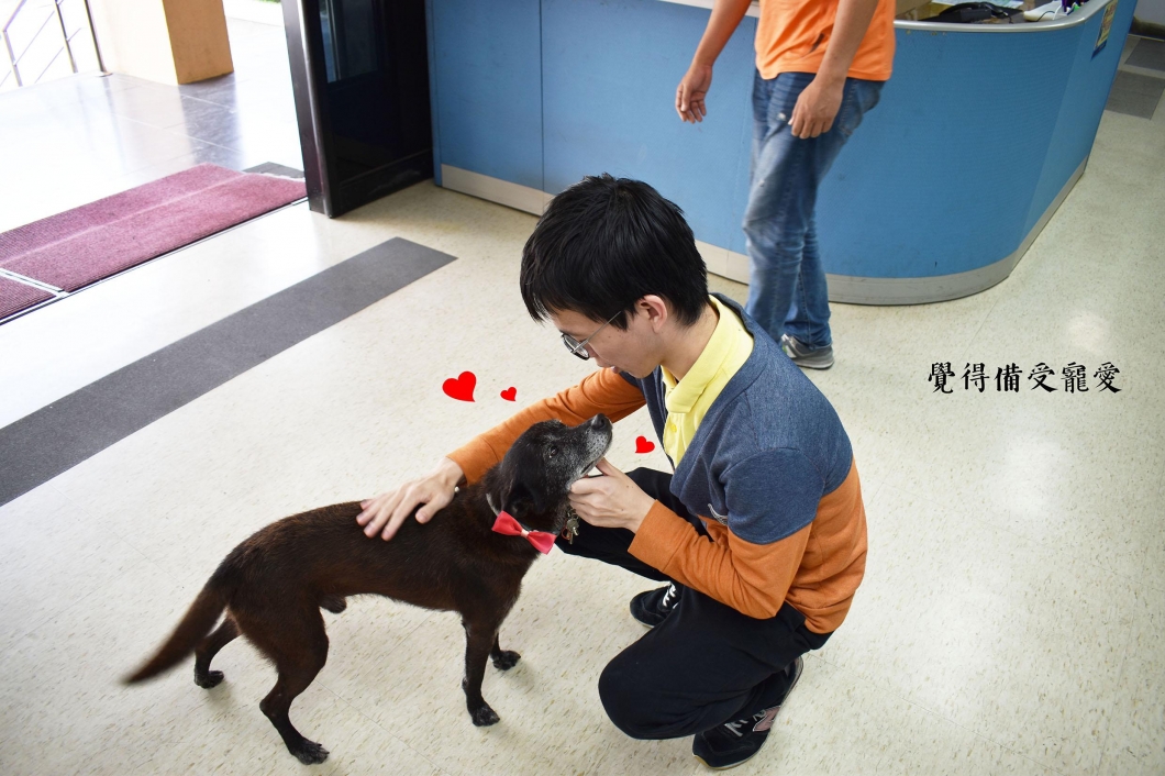 坪林區公所「小黑」獲得機關組第一名。 新北市動保處/提供