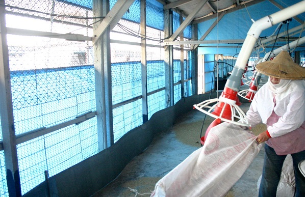 養禽場架設圍網設施，可防止候鳥或野鳥進入禽場，減少禽流感發生機率。 資料照片 蕭士塔/攝