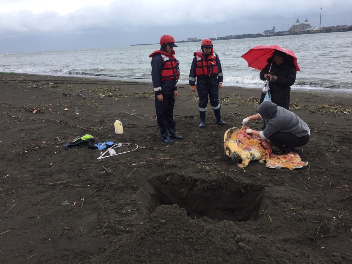 海洋大學研究人員當場進行採樣。第八岸巡隊/提供