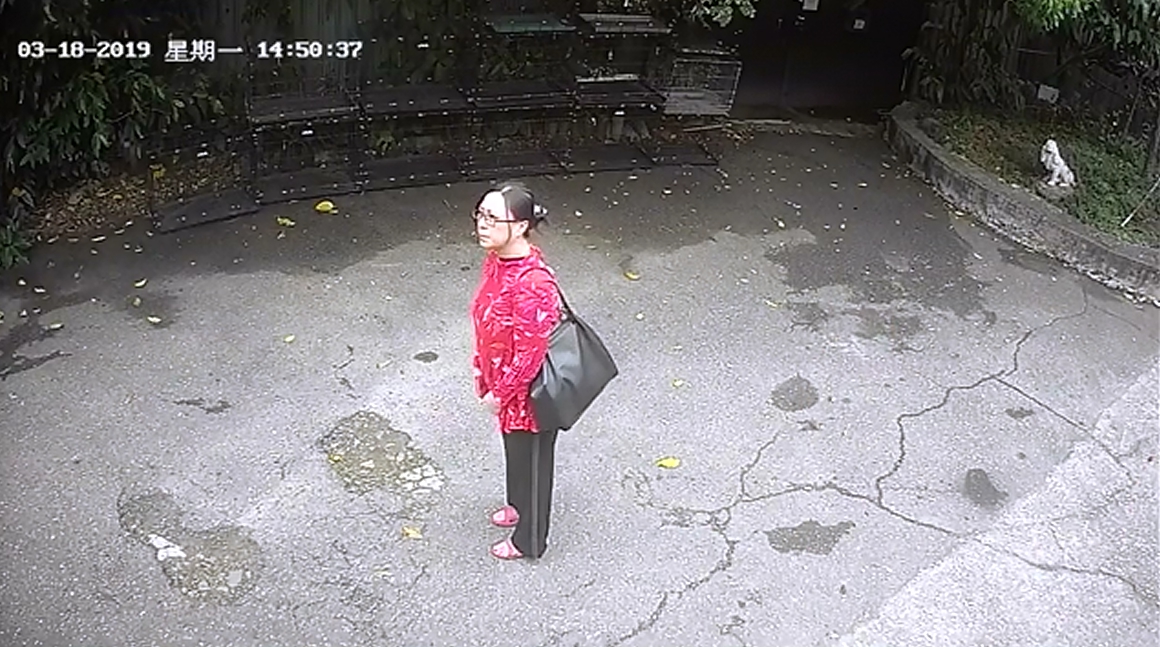 身穿紅衣的女子協助棄養犬隻。中華民國保護動物協會/提供