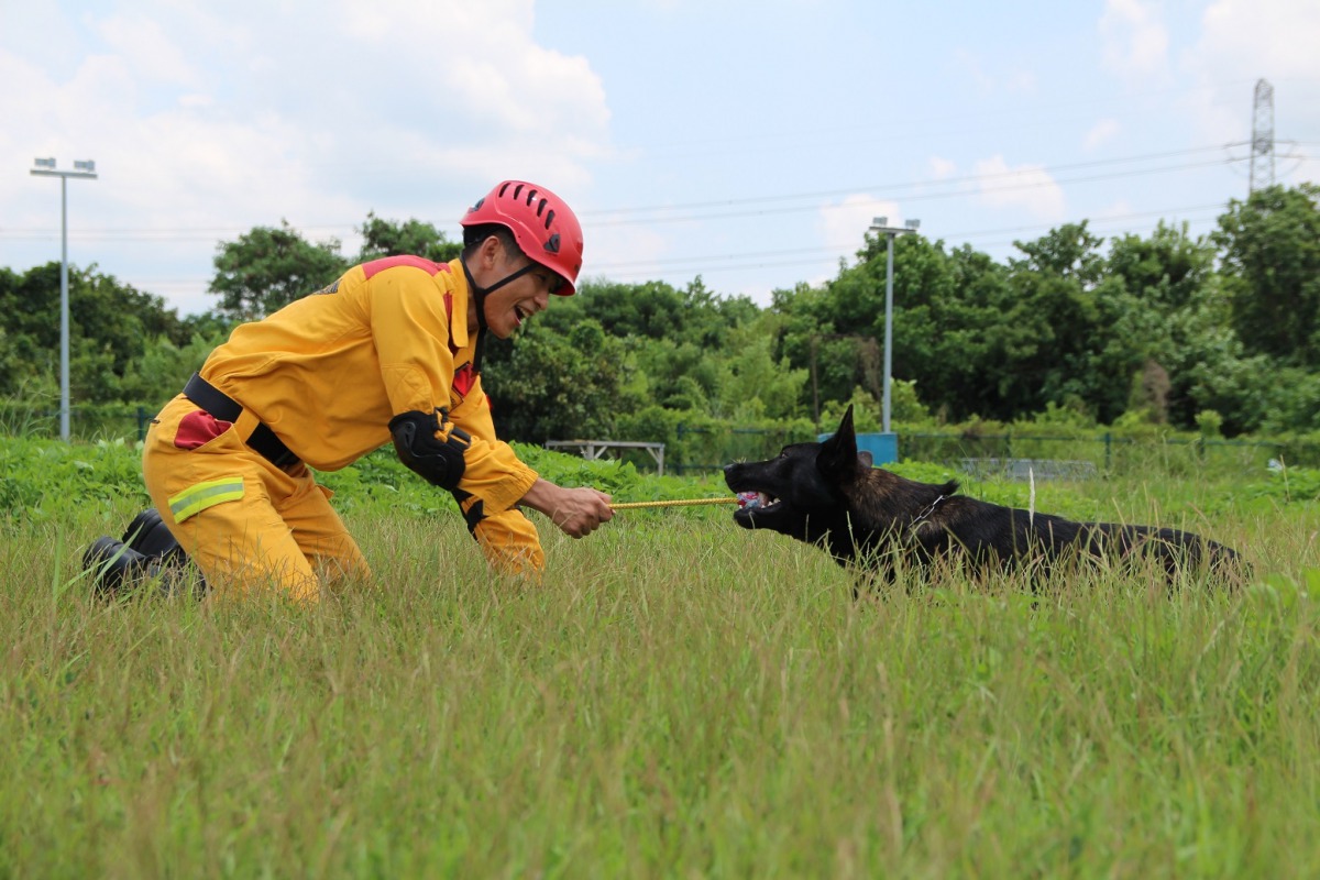 領犬員再培訓時幾乎24小時都要與搜救犬「黏在一起」。 新竹市政府/提供