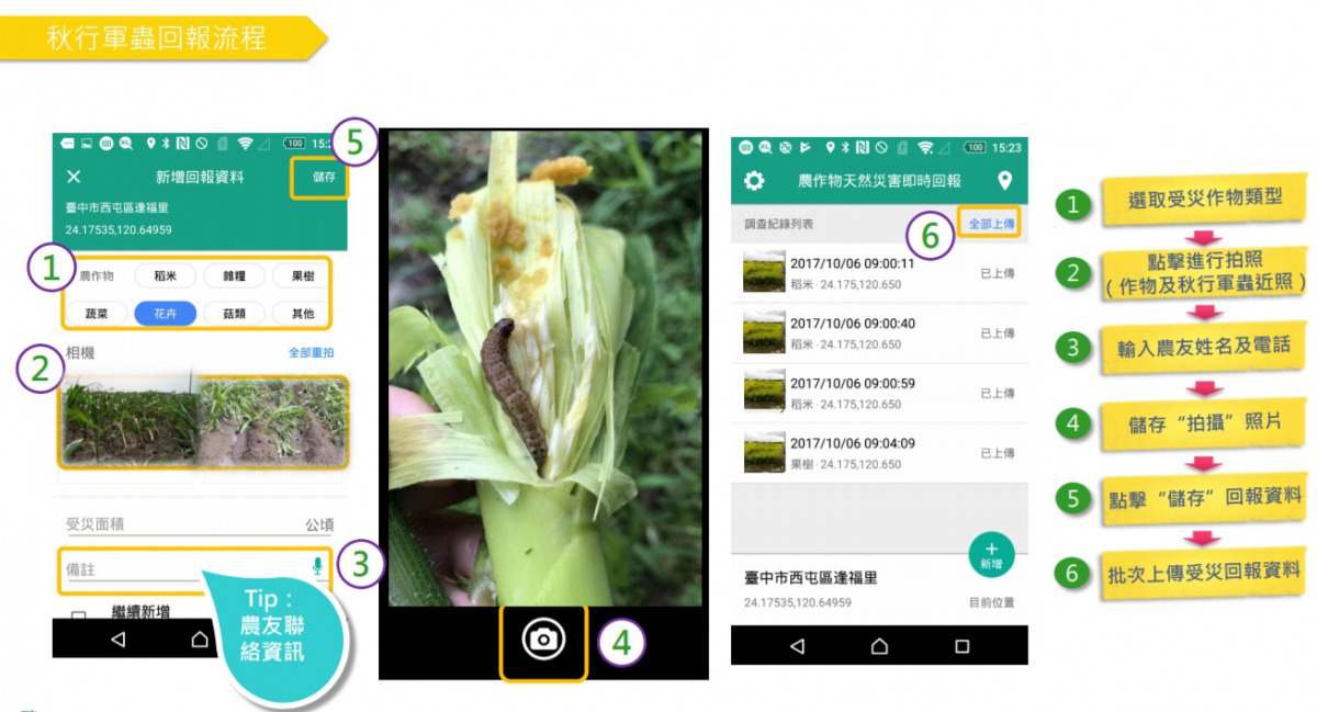 民眾若是發現疑似秋行軍蟲的話，可以下載「農作物天然災害即時回報APP」，回報確認即可獲得一萬元獎勵金。 農委會/提供