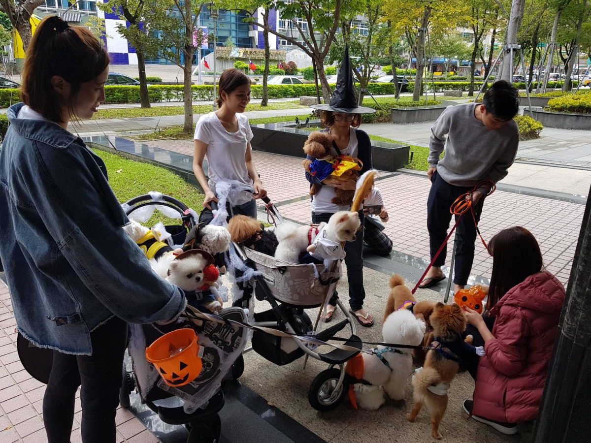 萬聖節寵物幼兒園舉辦「不給肉就搗蛋」活動，到附近店家討肉乾吃。李姝姮/提供