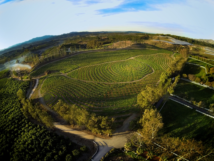原本是200畝的荒廢土地，在遵循自然工法下，如今已是種植了10000棵作物、200多種動植物的友善生態農場。 佳映娛樂/提供