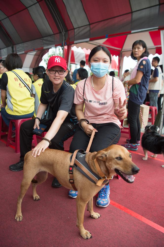 曾在嘉義收容所認養犬隻的飼主在動保園區落成典禮上回娘家。 嘉義市政府/提供
