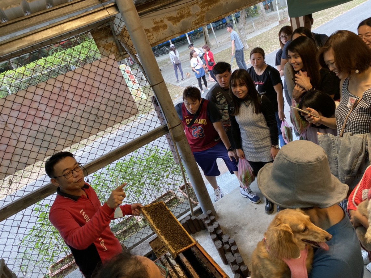 動保志工們認識蜜蜂生態。姚崇仁/攝