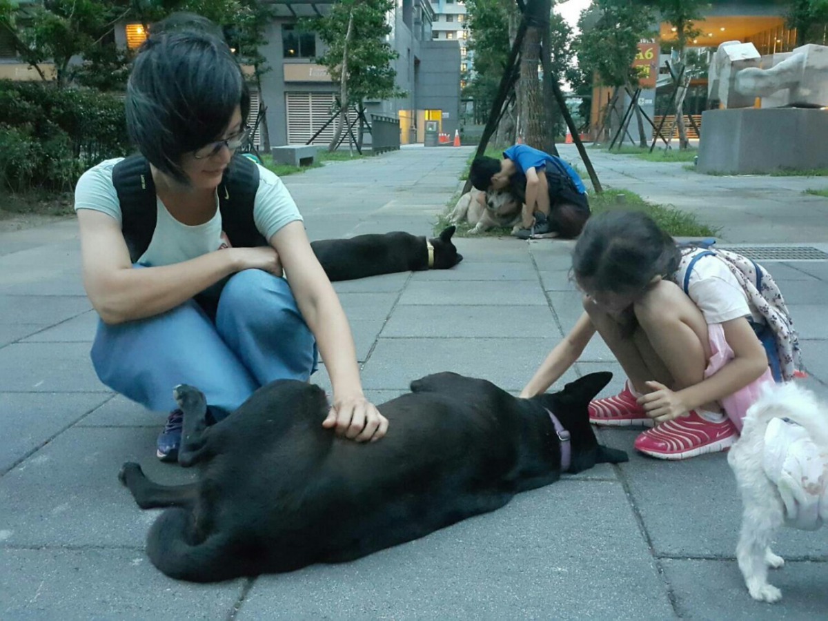 六福中的黑寶跟住戶撒嬌討摸摸。 新北市動保處/提供