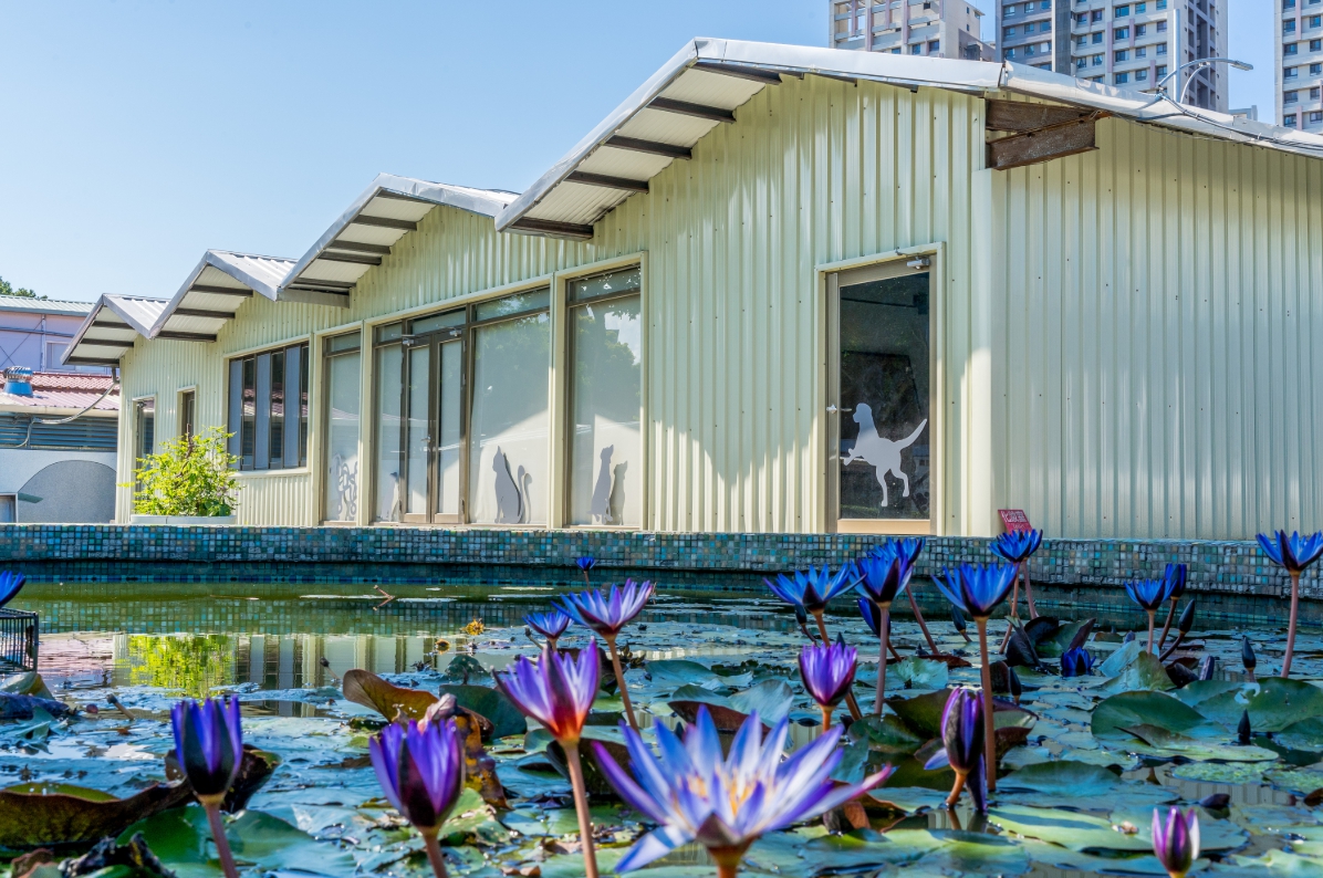 新北市毛寶貝生命教育園區外觀。 新北市動保處/提供