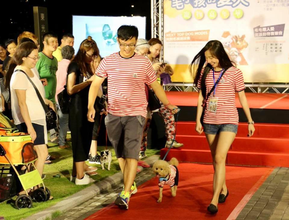 4日下午「狗狗名模Fashion秀」讓主人跟毛小孩一起換上親子裝來走秀。 南紡購物中心/提供