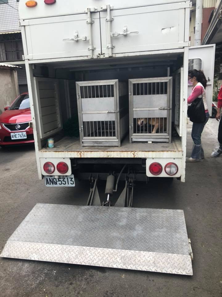 犬貓都已送往收容所安置。 黃富/提供