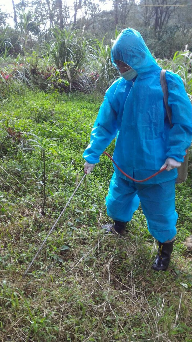 動保處人員已在現場進行消毒作業。 新北市動保處/提供