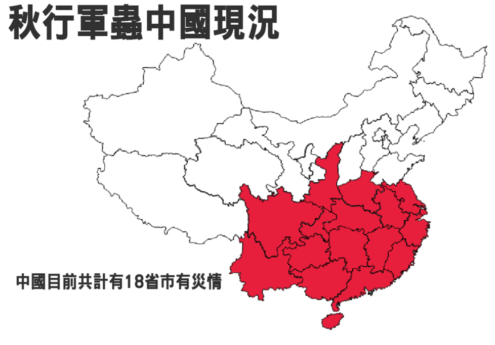 中國大陸已有18個省份遭秋行軍蟲淪陷。防檢局/提供