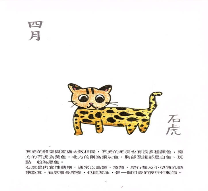 小朋友製作的筆記本當中包含了全台剩不到500隻的石虎。 李繼宗老師/提供