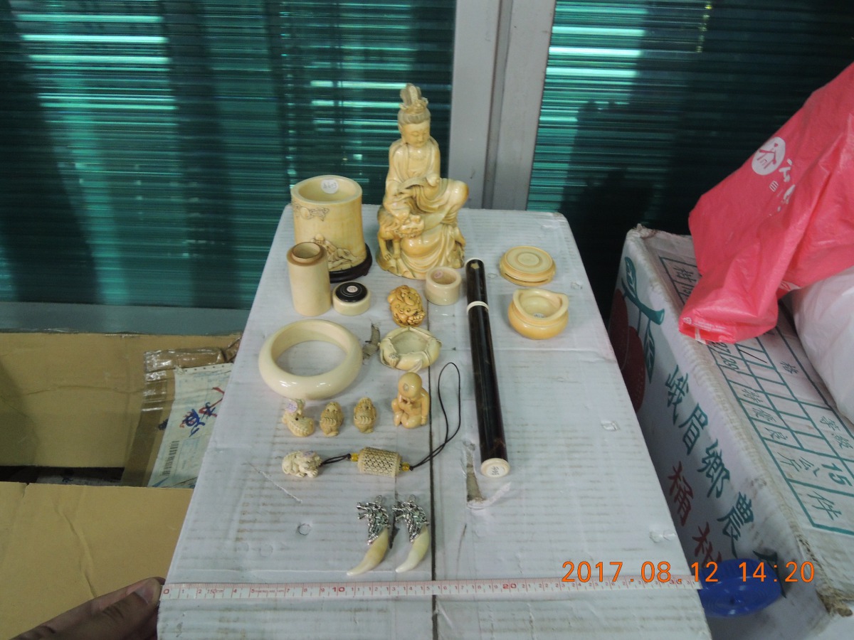 各種象牙加工製品。 林務局/提供