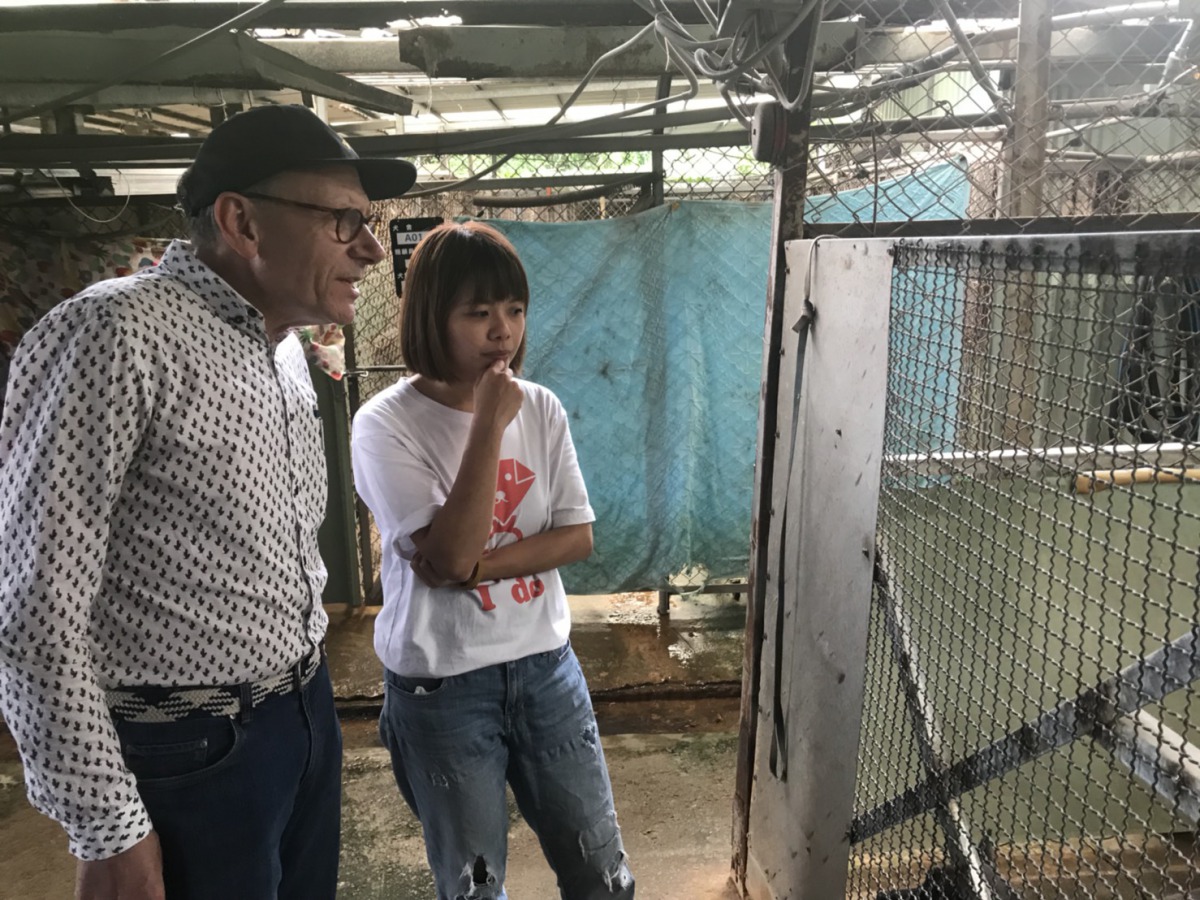 Clive D. L. Wynne教授對於八里保育場內只有米克斯而感到疑問。 姚崇仁/攝