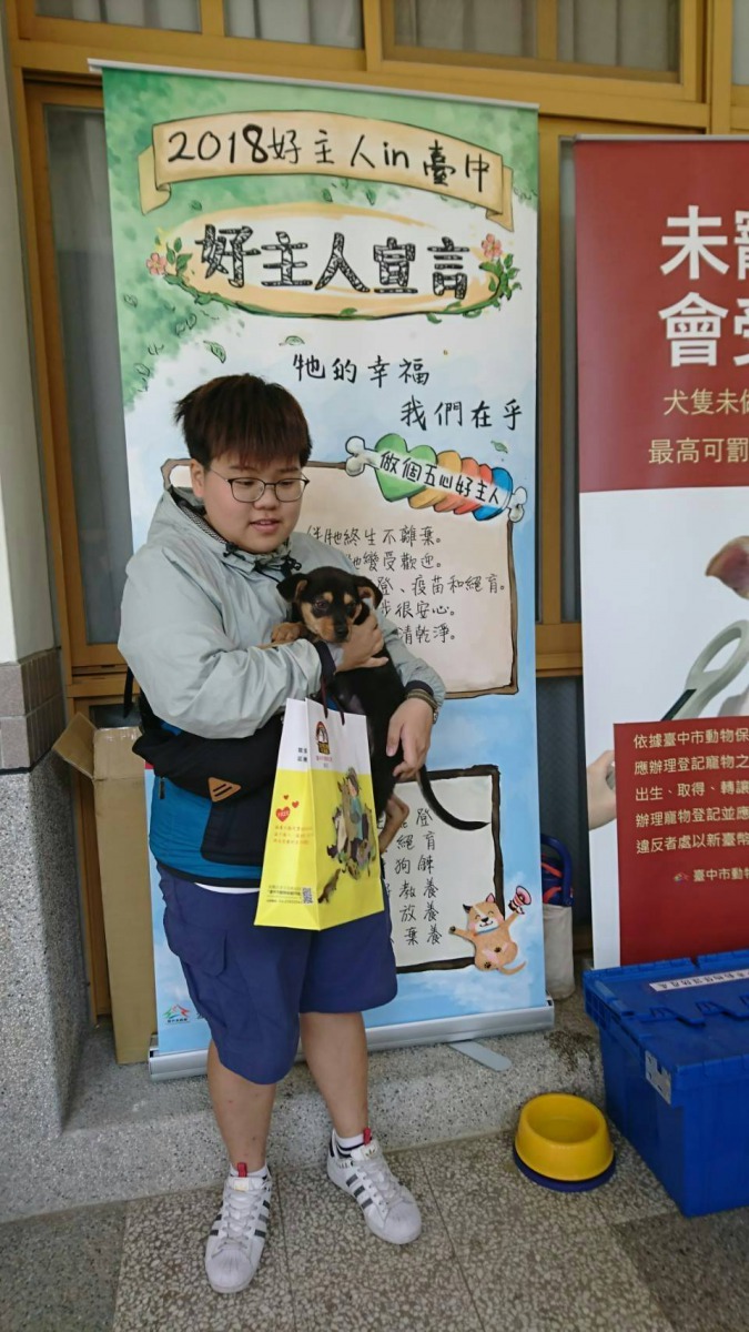 台中動物之家狗狗順利找到領養人。 台中市動保處/提供