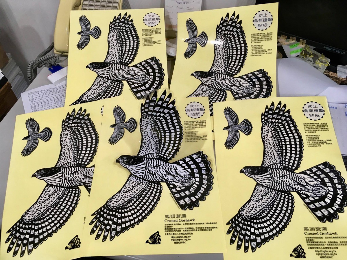 鳳頭蒼鷹的防撞貼紙。 台灣猛禽研究會/提供