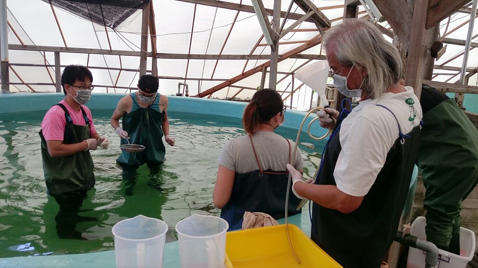 四草鯨豚搶救站的志工們日以繼夜的照顧身體狀況不佳的「阿鳳」。